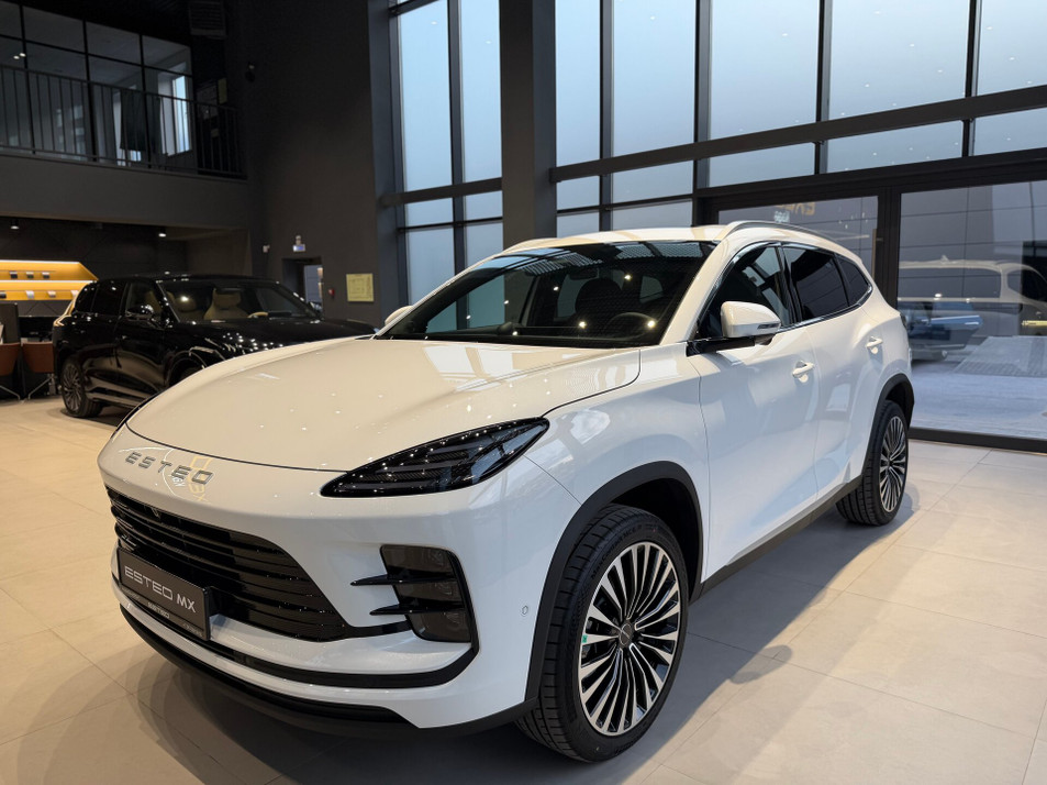 Новый автомобиль ESTEO MX Флагман в городе Новосибирск ДЦ - ESTEO ЦЕНТР АЛЬБИОН-МОТОРС СТАНЦИОННАЯ NEW