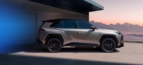 RAV4 Шектеулі ұсынысты пайдаланыңыз