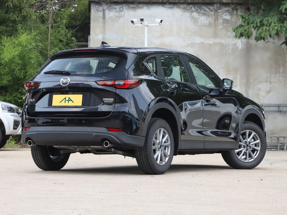 Автомобиль с пробегом Mazda CX-5 в городе Нижний Новгород ДЦ - Луидор-Авто