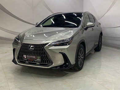 Автомобиль с пробегом Lexus NX в городе Воронеж ДЦ - Платон Авто